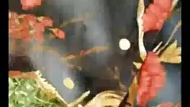 Hairy chut desi village aunty open sex video